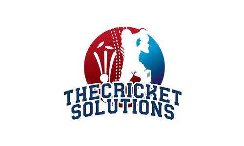 THE CRICKET SOLUTIONS